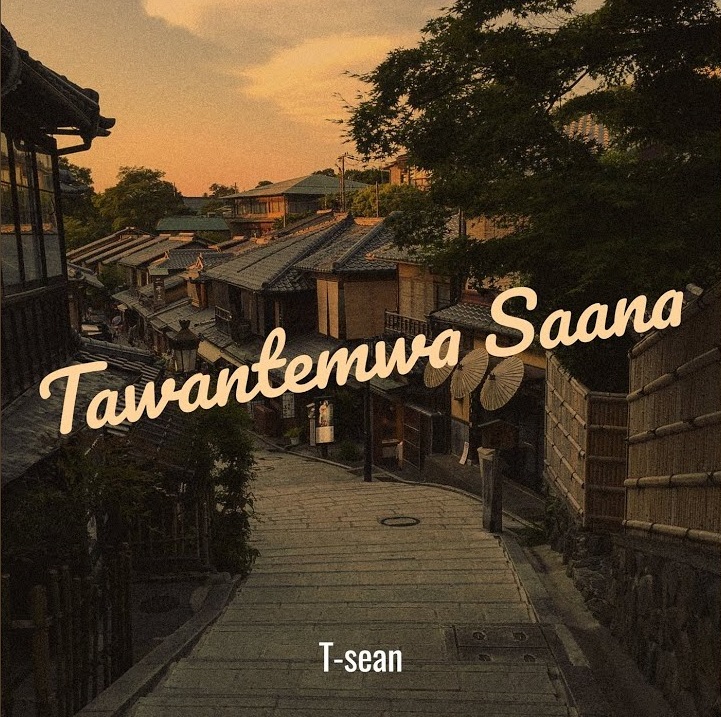T-Sean - Tawantemwa Saana Audio