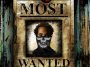 Y Celeb - Most Wanted Album