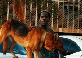 Y Celeb x Chanda x Goddy Zambia - Careful Video