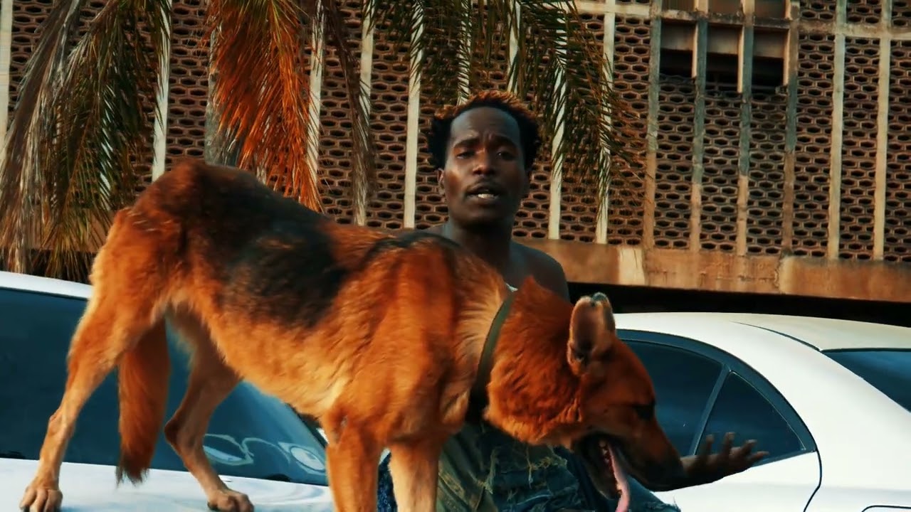 Y Celeb x Chanda x Goddy Zambia - Careful Video