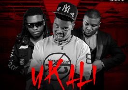 Y-Cool Ft. Stevo & Tommy D - UKALI