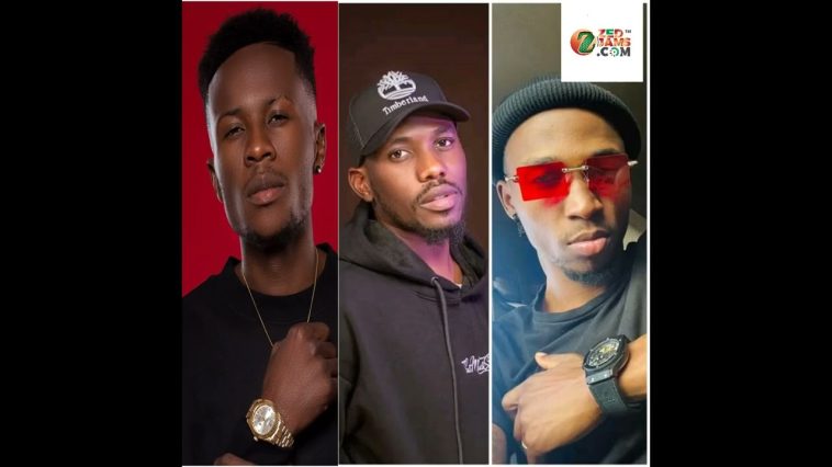 Drimz Calls Out Fellow Artists For Silence In Industry Mockery Insults & Nonsense In New Voice Note
