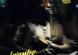 Yo Maps – Lwambo Audio