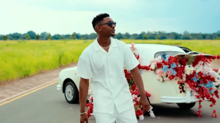 Frank Ro - Careless Driving Video